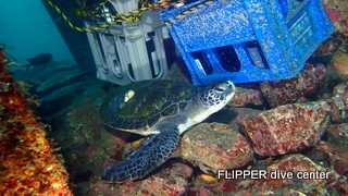 ツアー写真（1）