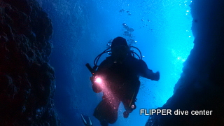 ツアー写真（1）