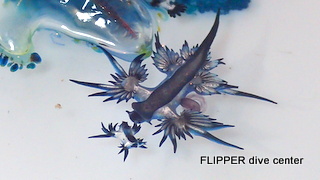 ツアー写真（1）