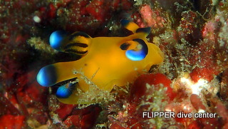 ツアー写真（2）