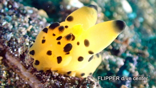 ツアー写真（1）