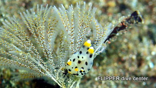 ツアー写真（2）