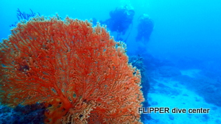 ツアー写真（2）