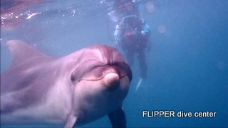 ツアー写真（1）