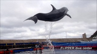 ツアー写真（2）