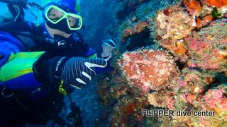 ツアー写真（2）