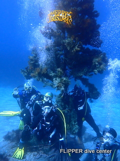 ツアー写真（1）