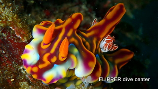 ツアー写真（1）