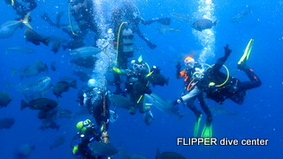 ツアー写真（2）