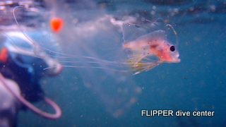 ツアー写真（1）