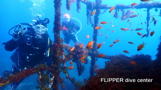 ツアー写真（1）