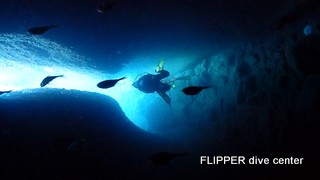 ツアー写真（1）